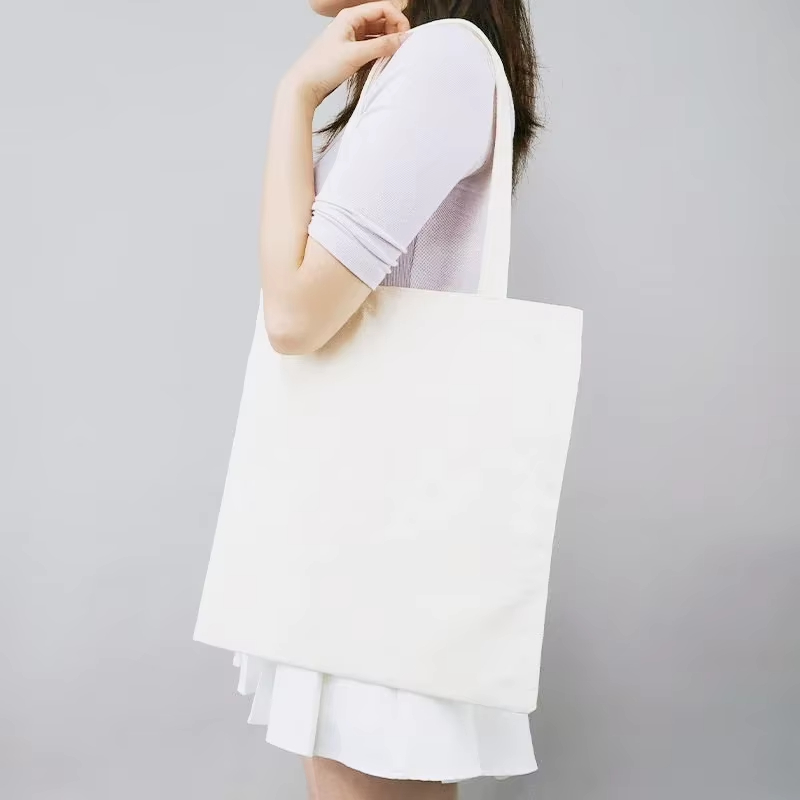 Canvas bag for class, commutin - Korean Lifestyle Book review and price